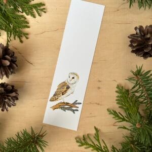 Zakładka sowa płomykówka