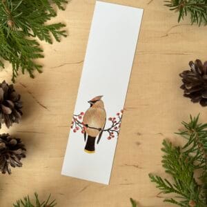 Zakładka jemiołuszka